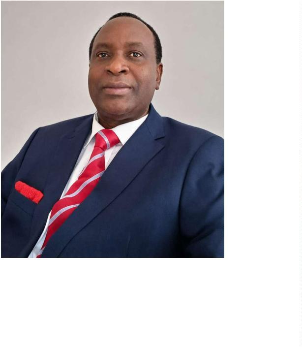 Godwin Owoicho Ikwue, Chief Finance Officer